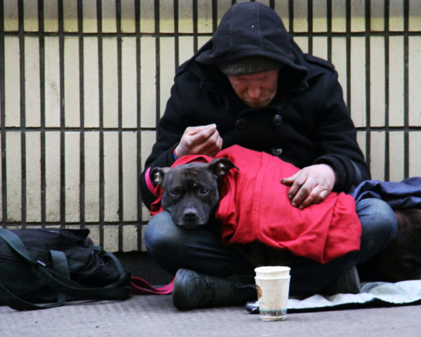 pets of homeless people