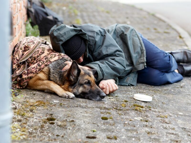homeless man with homeless dog