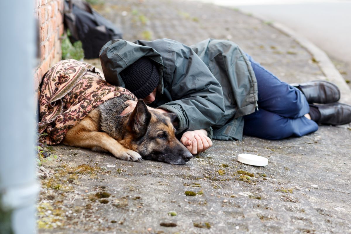 homeless man with homeless dog