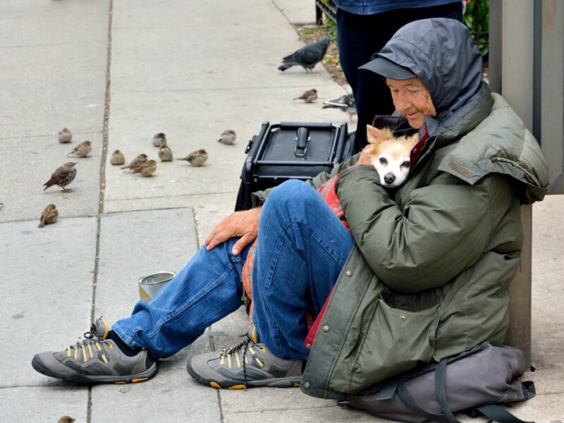 homeless people and their pets