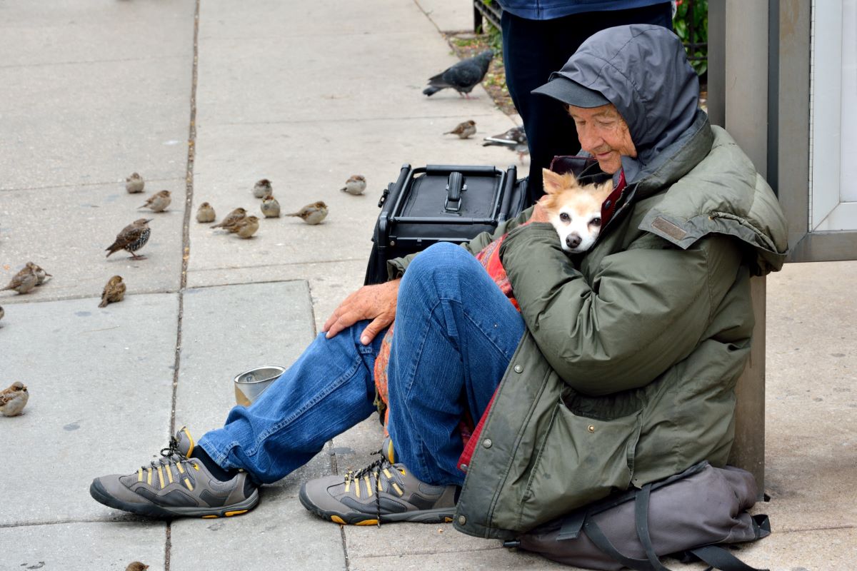 homeless people and their pets